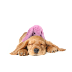 Cozy Dog Bunny Grey 30cm                          