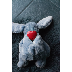 Cozy Dog Bunny Grey 30cm                          