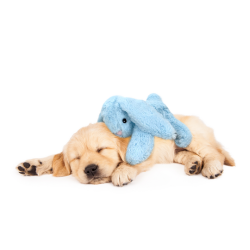 Cozy Dog Bunny Grey 30cm                          