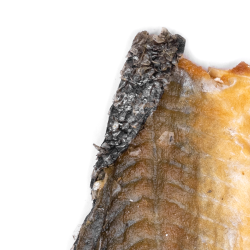 Snack it LakseskindFlade stykk                    