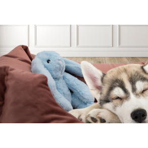 Cozy Dog Bunny Light Brown 30c                    