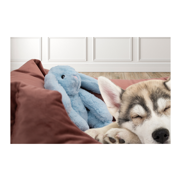 Cozy Dog Bunny Light Brown 30c                    