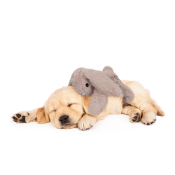 Cozy Dog Bunny Light Brown 30c                    