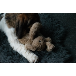 Cozy Dog Bunny Light Brown 30c                    