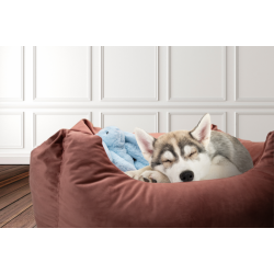 Cozy Dog Bunny Light Brown 30c                    