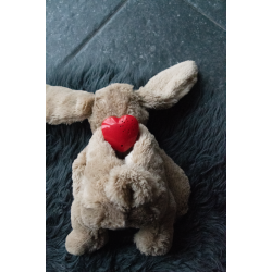 Cozy Dog Bunny Light Brown 30c                    