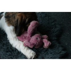 Cozy Dog Bunny Light Brown 30c                    