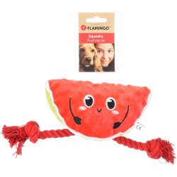 DT Bubto Watermelon With Rope                     
