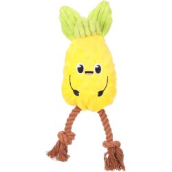 DT Bubto Pineapple With Rope                      