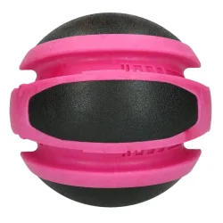 Dog Comets Planets Pink                           