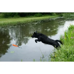 Dog Comets Orion Orange Dummy                     