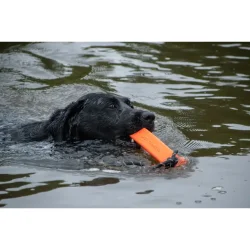 Dog Comets Orion Orange Dummy                     