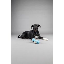 Toy Tanno Snack Dumbbell blue                     