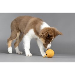 DT Puppy Rubber Rhea Treat Bal                    