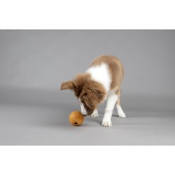 DT Puppy Rubber Rhea Treat Bal                    