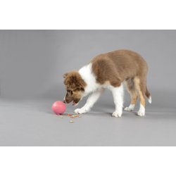 DT Puppy Rubber Rhea Treat Bal                    