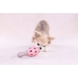 Toy Puppy Rubber Benty Cone                       