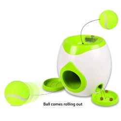 DT Wilson Interactive Fetch                       