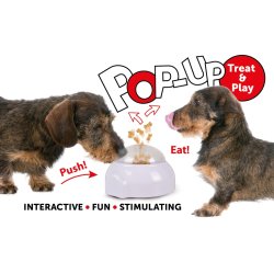 DT Popup Toy 20cm                                 