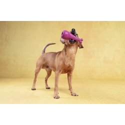 DT Bonna Rubber Drumstick                         