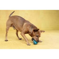 DT Stako Rubber Hedgehog S                        