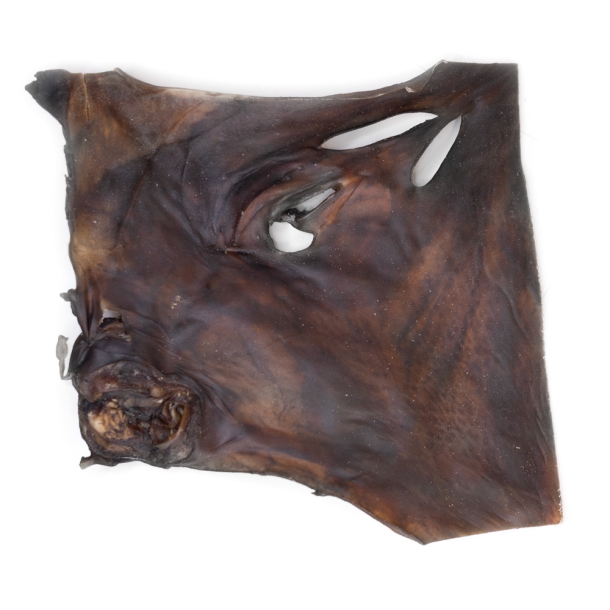 Snack it Kamelhudsplade 30x30                     