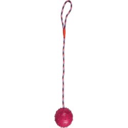 Dog Toy Rubber Ball 8cm                           
