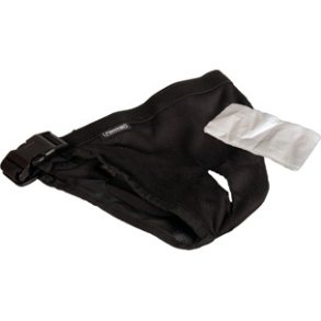 Hunde Pants Plastik Buckle XXL                    