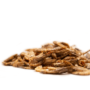 Snack it Rejer 100gr                              