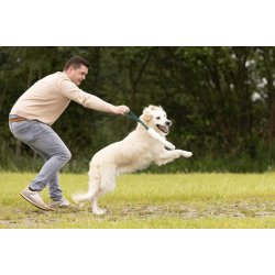 Toy Furtra Chaser Rabbit S                        