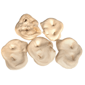 Snack it Hvide tryner 5 stk                       