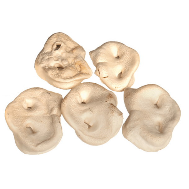 Snack it Hvide tryner 5 stk                       