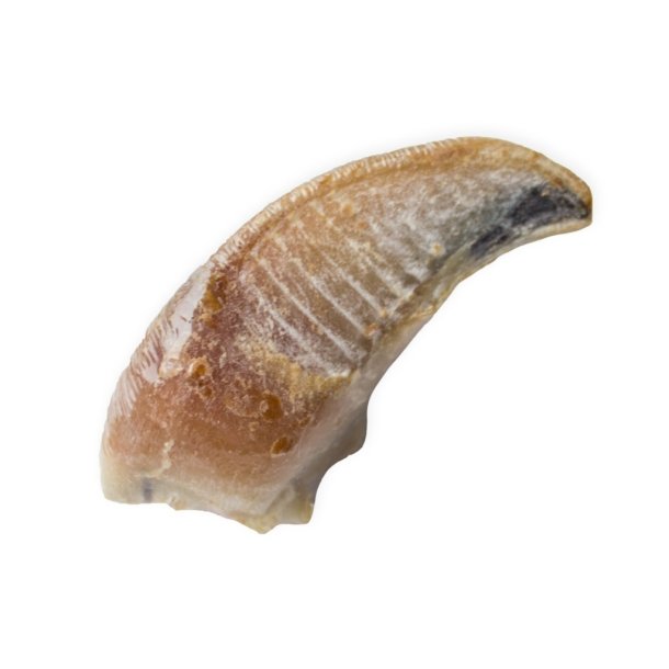 Snack it Kalveklov m. Pate 25                     