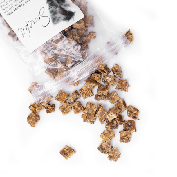 Snack it Mini Trainers Fisk                       