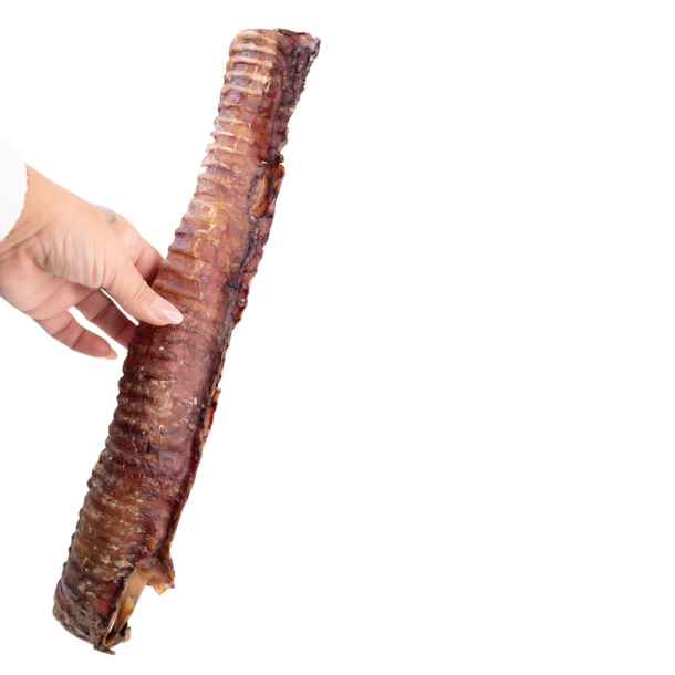 Snack it Okseluftrr 40cm                         