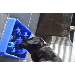 Eat Slow Live Longer Star Blue                    