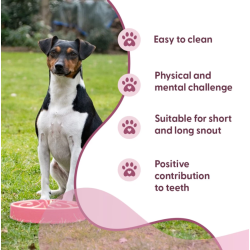 Eat Slow Live Longer Original                     