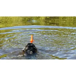 Dog Comets Bobber Orange Light                    