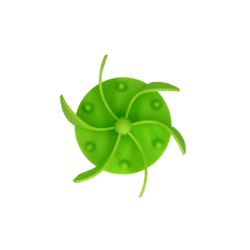 Eat Slow Live Longer Gobble St                    