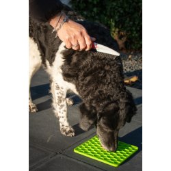 Eat Slow Live Longer Lick Mat                     