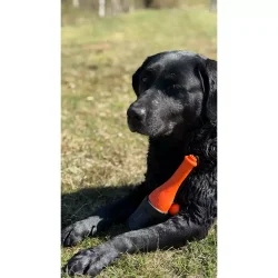 Dog Comets Bobber Green Lighth                    