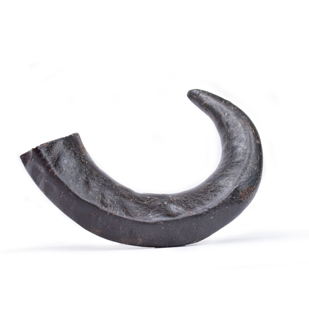 Snack it Bffelhorn M 12st                        