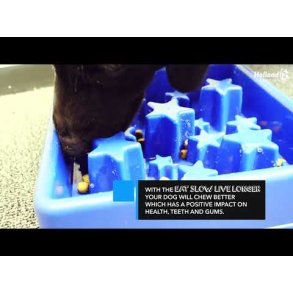 Eat Slow Live Longer Star Blue                    