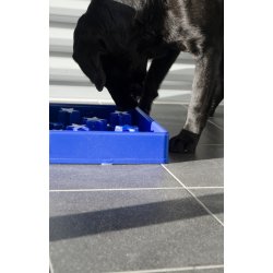 Eat Slow Live Longer Star Blue                    