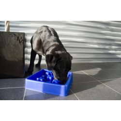 Eat Slow Live Longer Star Blue                    