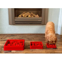 Eat Slow Live Longer Star Red                     