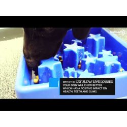 Eat Slow Live Longer Star Pink                    