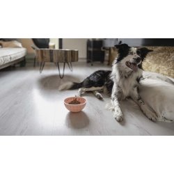 Eat Slow Live Longer Lick Mat                     