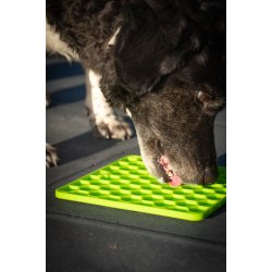 Eat Slow Live Longer Lick Mat                     
