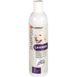 Shampoo Lavender 300ml                            